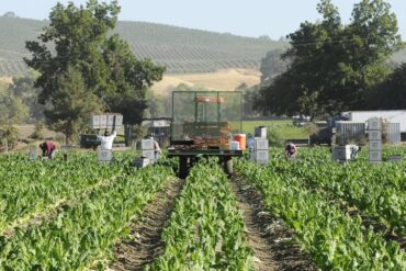 Family Farm Stays in Arden-Arcade California