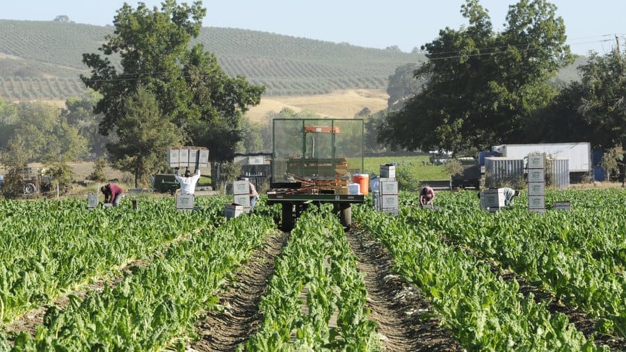 Family Farm Stays in Arden-Arcade California