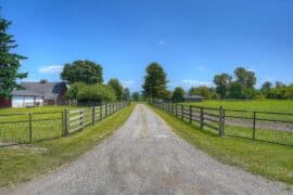 Family Farm Stays in Auburn Washington