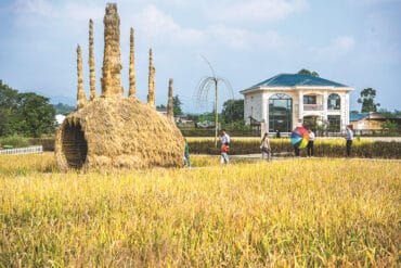 Family Farm Stays in Bishan