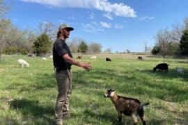 Family Farm Stays in Cedar Park Texas