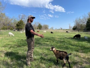 Family Farm Stays in Cedar Park Texas