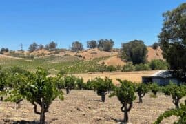 Family Farm Stays in Concord California