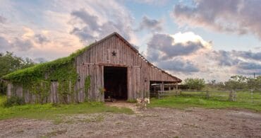 Family Farm Stays in Corpus Christi Texas