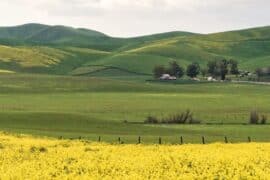 Family Farm Stays in Dublin California