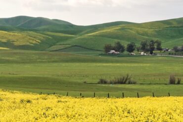 Family Farm Stays in Dublin California