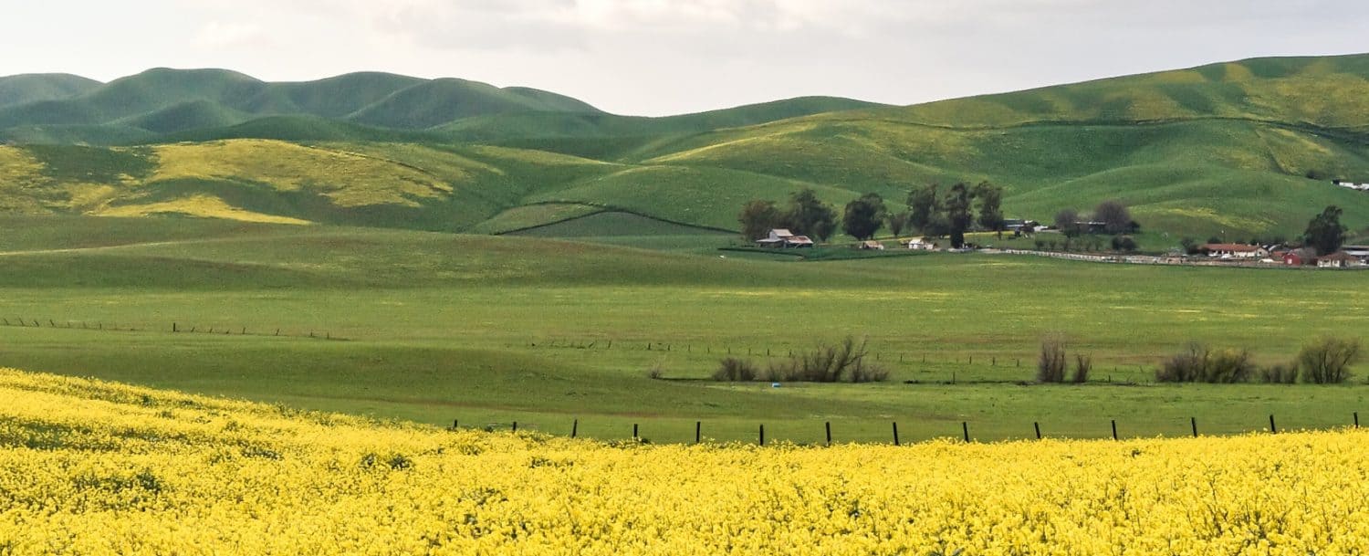 Family Farm Stays in Dublin California