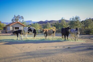 Family Farm Stays in East Los Angeles California