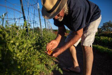 Family Farm Stays in El Paso Texas