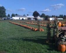 Family Farm Stays in Federal Way Washington