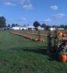 Family Farm Stays in Federal Way Washington