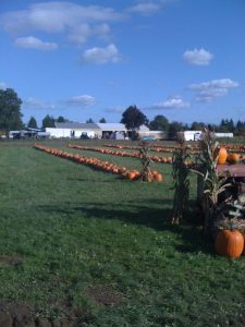 Family Farm Stays in Federal Way Washington