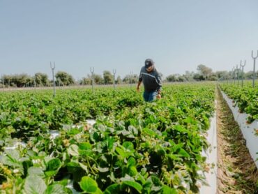 Family Farm Stays in Fresno California