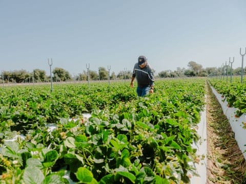 Family Farm Stays in Fresno California