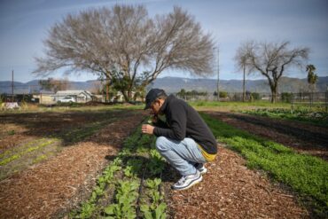 Family Farm Stays in Garden Grove California