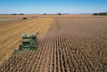 Family Farm Stays in Hayward California