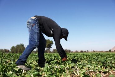 Family Farm Stays in Hemet California