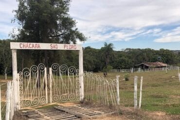 Family Farm Stays in Hougang