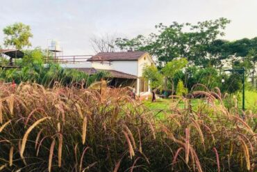 Family Farm Stays in Jurong East