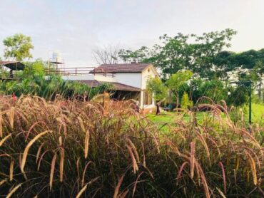 Family Farm Stays in Jurong East