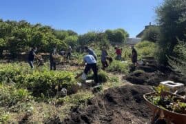 Family Farm Stays in Jurupa Valley California