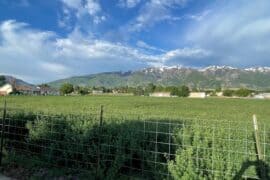 Family Farm Stays in Layton Utah