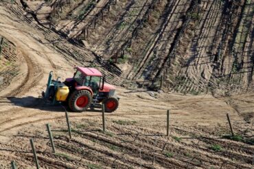 Family Farm Stays in Lynwood California