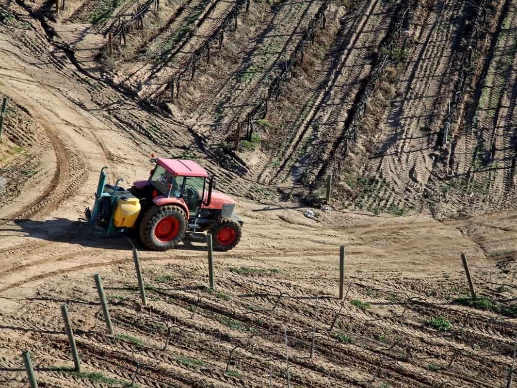 Family Farm Stays in Lynwood California