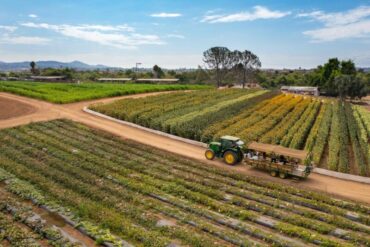 Family Farm Stays in Oceanside California