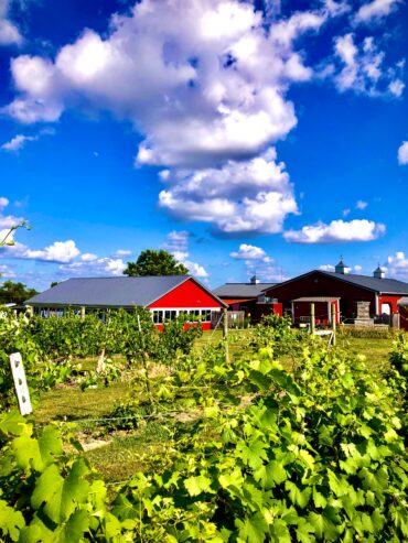 Family Farm Stays in Olathe Kansas