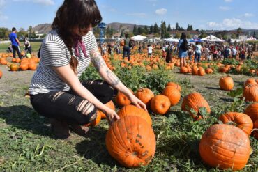 Family Farm Stays in Pomona California