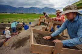 Family Farm Stays in Provo Utah