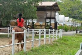 Family Farm Stays in Punggol