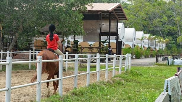 Family Farm Stays in Punggol