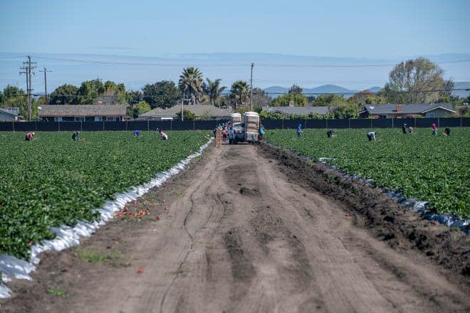 Family Farm Stays in Salinas California