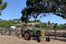 Family Farm Stays in San Ramon California