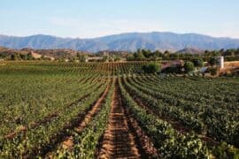 Family Farm Stays in Santa Clarita California