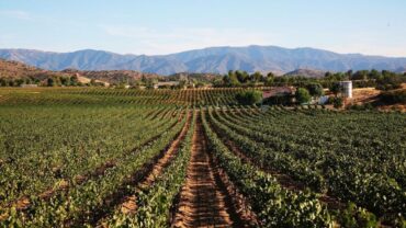 Family Farm Stays in Santa Clarita California