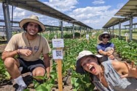 Family Farm Stays in Sembawang