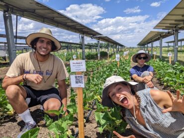 Family Farm Stays in Sembawang