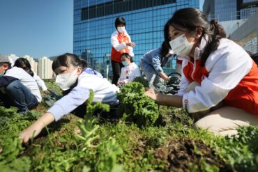 Family Farm Stays in Sham Shui Po Kowloon