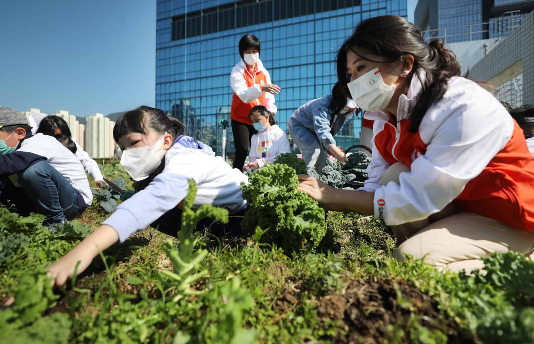 Family Farm Stays in Sham Shui Po Kowloon