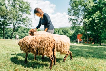 Family Farm Stays in Spokane Valley Washington