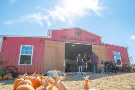 Family Farm Stays in Temple Texas