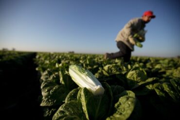 Family Farm Stays in Tustin California