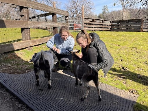 Family Farm Stays in Vacaville California