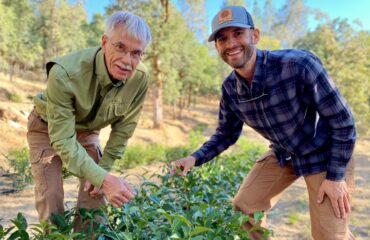 Family Farm Stays in Vista California