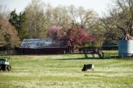 Family Farm Stays in Whittier California