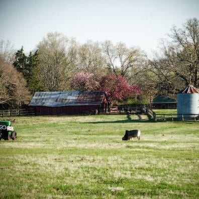 Family Farm Stays in Whittier California