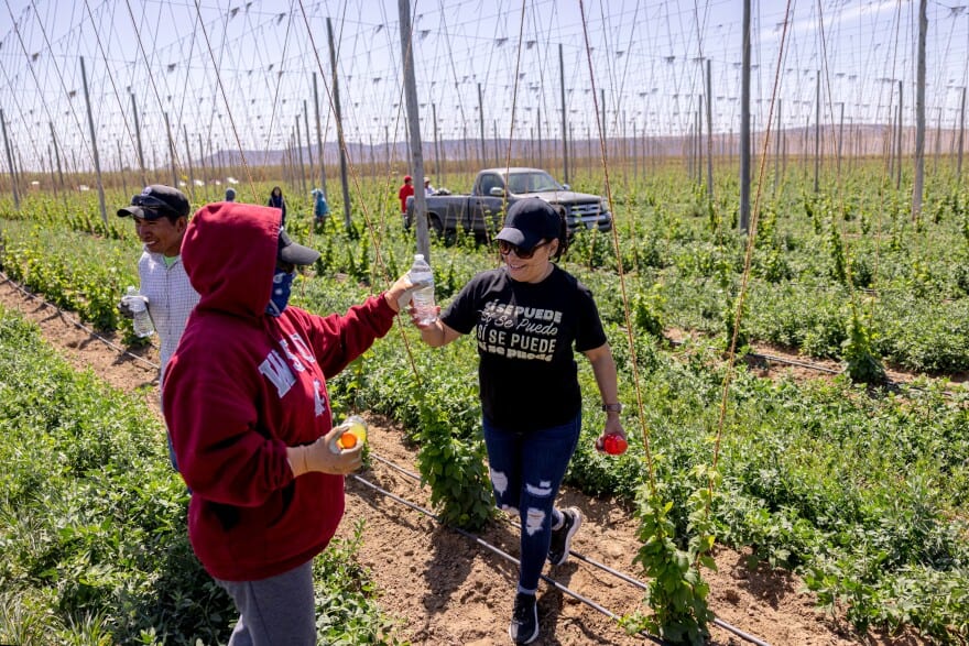 Family Farm Stays in Yakima Washington